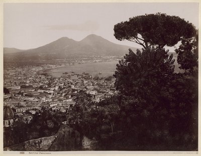 Panorama de Nápoles de Giorgio Sommer