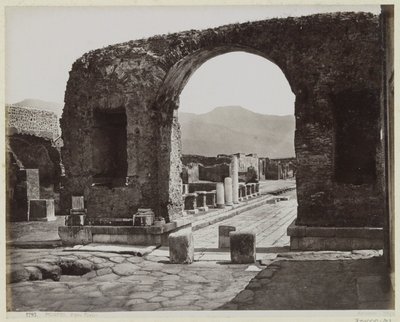  de Giorgio Sommer