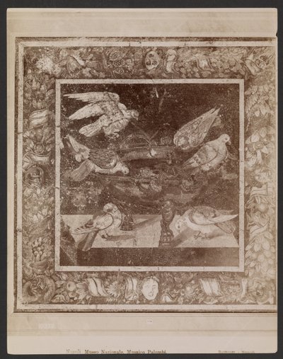 Mosaico Palombi, Museo Nacional de Nápoles de Giorgio Sommer