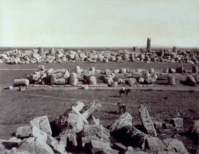 Panorama de los restos del Templo de Minerva y el Templo de Apolo en Selinunte. Hay un hombre a caballo entre las ruinas del sitio arqueológico de Giorgio Sommer