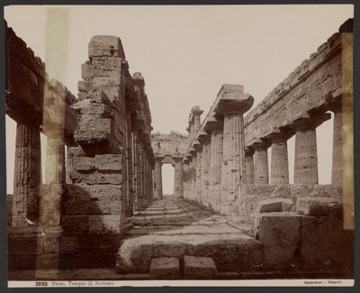 Templo de Neptuno, Paestum de Giorgio Sommer