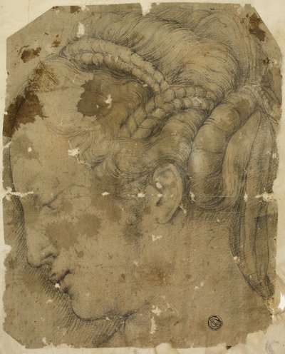 Cabeza femenina en perfil hacia la izquierda de Giorgio Vasari