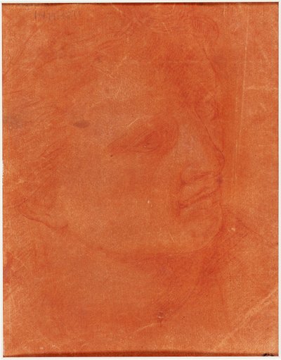 Cabeza en perfil de tres cuartos (recto); Joven de pie señalando a la izquierda y bocetos de pies, brazo (verso) de Giorgione