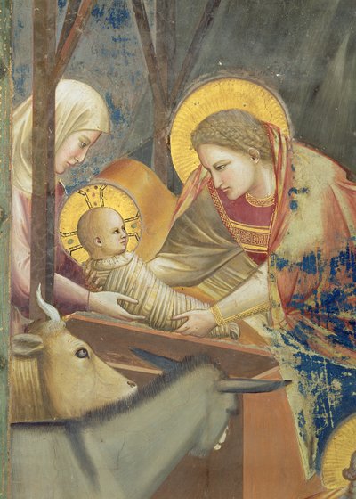 La Natividad, c.1305 (fresco) (detalle de 65197) de Giotto (c.1266 1337)