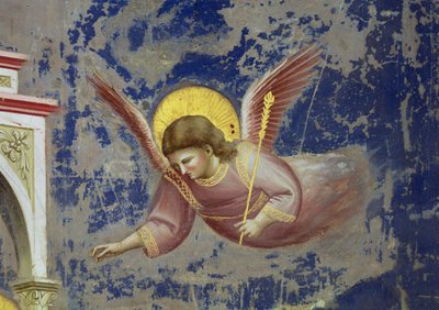 Ángel, de la Presentación de Cristo en el Templo, c.1305 (fresco) (detalle de 65195) de Giotto (c.1266 1337)