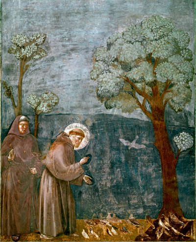 Episodio de la vida de San Francisco de Asís: La predicación a los pájaros de Giotto (c.1266 1337)
