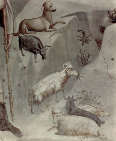 Escenas de la vida de Joaquín: 5. El sueño de Joaquín

 (detalle) de Giotto
