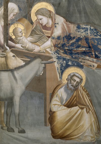 La Natividad, detalle de la Virgen y el Niño, el burro y José, 1303-05 (post restauración) de Giotto di Bondone