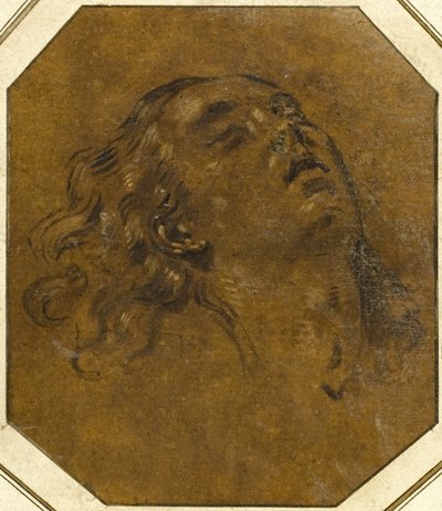 Cabeza femenina de Giovan Gioseffo dal Sole