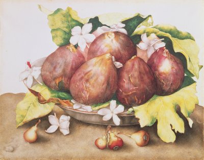Higos en hojas de Giovanna Garzoni