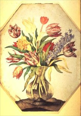 Jarrón de Cristal con Tulipanes y un Jacinto de Giovanna Garzoni