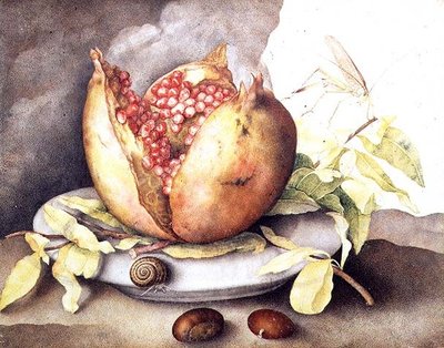 Granada con castañas de Giovanna Garzoni