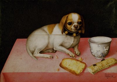Retrato de un perro de Giovanna Garzoni