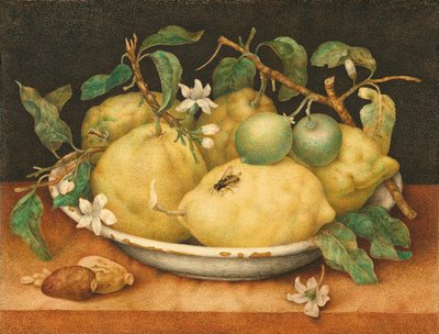Naturaleza muerta con cuenco de limones de Giovanna Garzoni