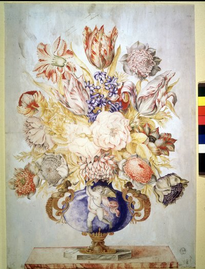 Imagen desconocida de Giovanna Garzoni