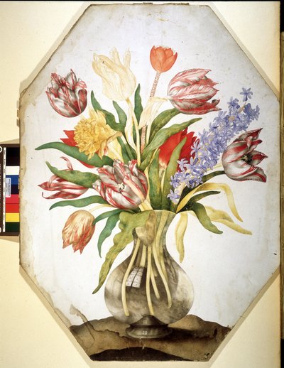 Imagen desconocida de Giovanna Garzoni
