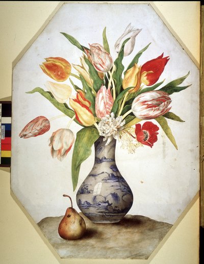 Imagen desconocida de Giovanna Garzoni