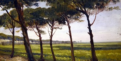 Una Línea de Viejos Pinos de Giovanni Costa