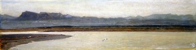 Boca del Arno de Giovanni Costa