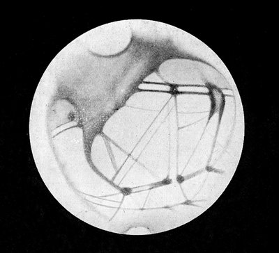 Los canales dobles de Marte (canales marcianos o canales canali), después de Giovanni Virginio Schiaparelli (1835-1910), astrónomo italiano (1890) - en "El Cielo" por Alphonse Berget, Larousse de Giovanni (after) Schiaparelli