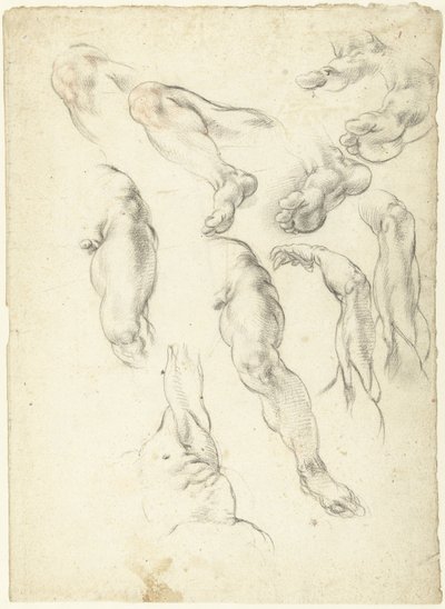 Hoja de estudio con brazos y piernas de Giovanni Alberti