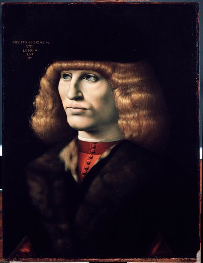 Retrato de joven, circa 1495 de Giovanni Ambrogio de Predis