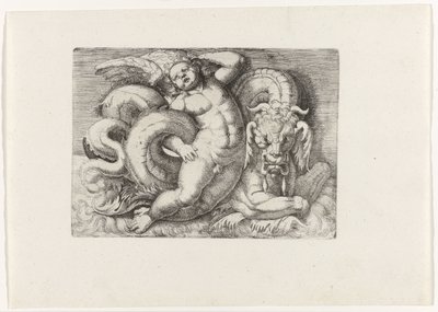 Putto cabalgando sobre un monstruo marino de Giovanni Andrea Maglioli