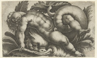 Putto durmiendo sobre delfines Putti sobre criaturas marinas (título de la serie) de Giovanni Andrea Maglioli