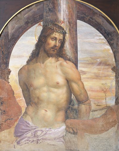 Cristo en la columna de Giovanni Antonio Bazzi Sodoma
