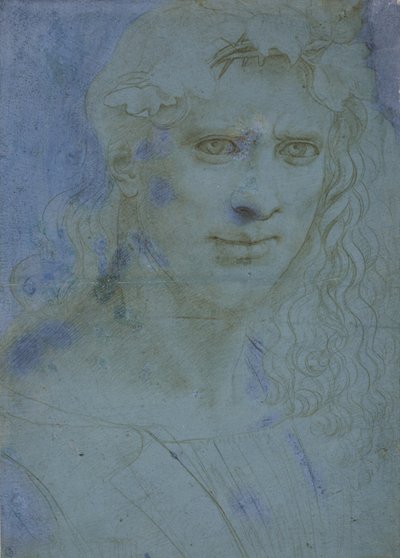 Busto de joven coronado con espinas y brotes de vid, c. 1495 de Giovanni Antonio Boltraffio