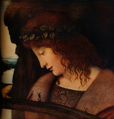 Narciso, c1500 de Giovanni Antonio Boltraffio