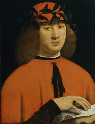 Retrato de un Joven, c.1500 de Giovanni Antonio Boltraffio