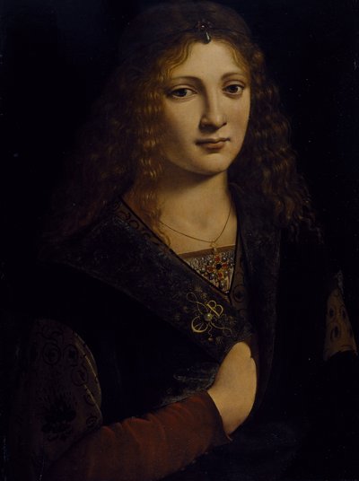 Retrato de un joven, posiblemente Girolamo Casio, c.1500 de Giovanni Antonio Boltraffio