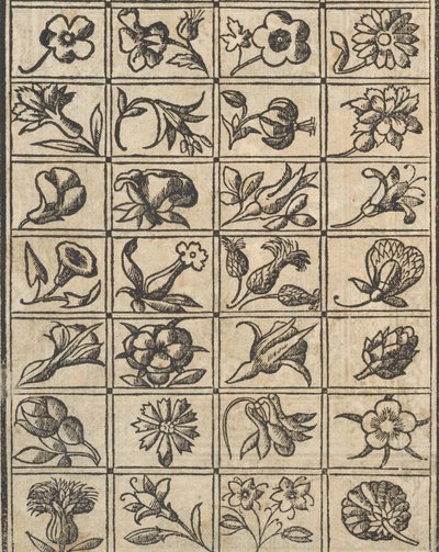 Essempio di recammi, página 10 verso, 1530 de Giovanni Antonio Tagliente