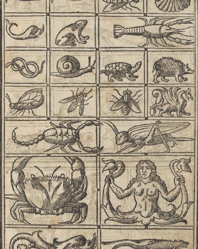 Essempio di recammi, página 11 recto de Giovanni Antonio Tagliente