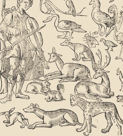 Essempio di recammi, página 12 verso, 1530 de Giovanni Antonio Tagliente
