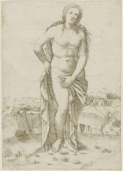 Venus de Giovanni Antonio da Brescia