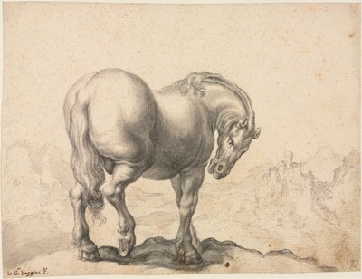 Estudio de un Semental, primer tercio del siglo XVIII de Giovanni Battista Foggini