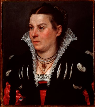 Retrato de una dama rica de Giovanni Battista Moroni