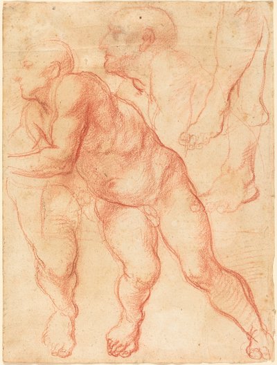 Estudios de un Desnudo Masculino de Giovanni Battista Naldini