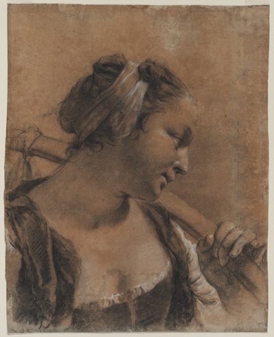 Retrato de Rosa con un palo en el hombro de Giovanni Battista Piazzetta