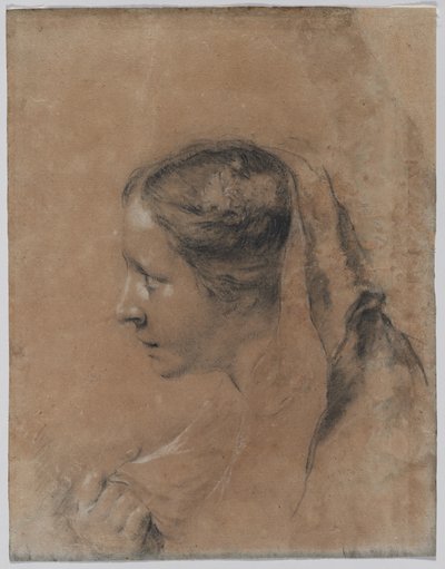 Cabeza de una mujer en perfil con un pañuelo de Giovanni Battista Piazzetta