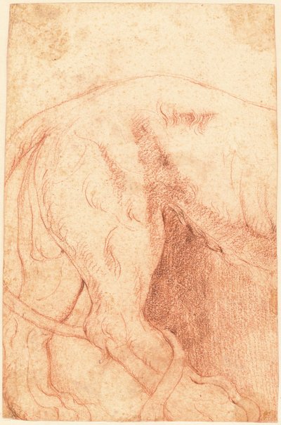 Fragmento de un bajorrelieve de león (verso) de Giovanni Battista Piranesi