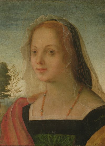Retrato de una niña de Giovanni Battista Rosso Fiorentino
