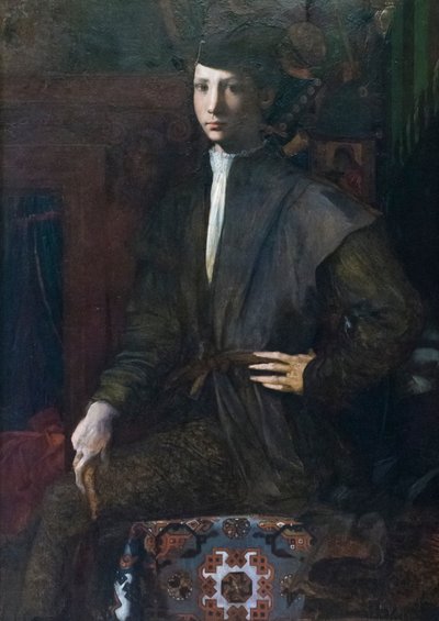 Retrato de un joven de Giovanni Battista Rosso Fiorentino