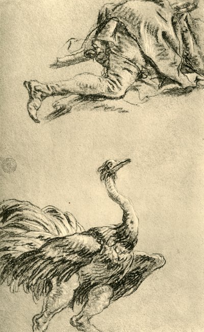 Un avestruz corriendo de Giovanni Battista Tiepolo