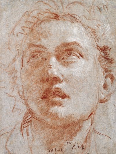 Cabeza de un hombre mirando hacia arriba de Giovanni Battista Tiepolo