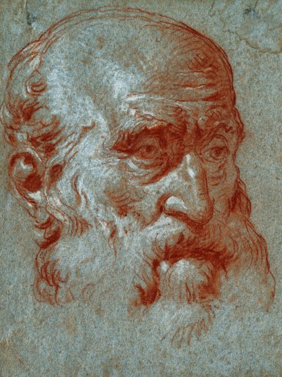 Cabeza de un patricio veneciano, tres cuartos de cara de Giovanni Battista Tiepolo