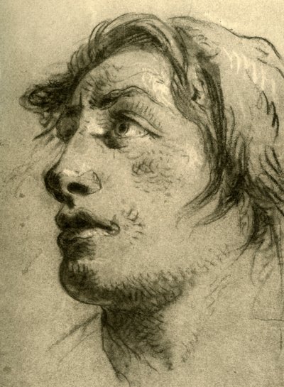 Cabeza de un joven, casi de perfil y mirando hacia arriba de Giovanni Battista Tiepolo