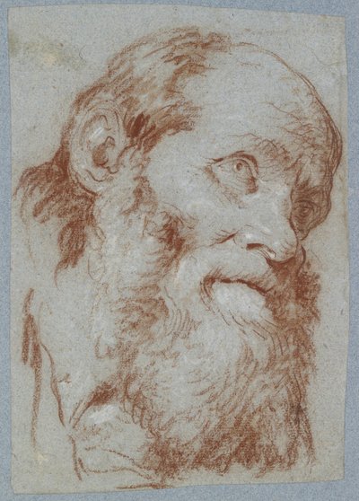 Cabeza de un hombre viejo con barba de Giovanni Battista Tiepolo